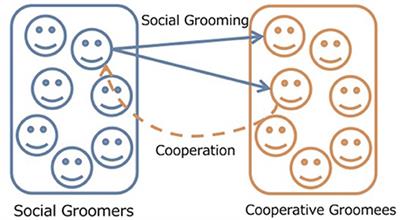 Evolution of Human-Like Social Grooming Strategies Regarding Richness and Group Size